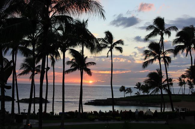 ALOHA<br />31日自宅を13:30出発<br />首都高含め順調に成田へ、途中酒々井で休憩し個室ガレージを予約したのでサン・レッドガレージへ 入庫(JALマイレージバンク提携)。<br />ここのパーキングはガレージと言うだけあって個室に自分で入庫します。鍵は預けなくても良いので移動されることありません。<br />ガレージのバスで空港へ向かいいます。<br />今回は家族同伴なのでビジネスにしました。<br />私はマイレージで妻はJALで購入、娘はアップグレード可能通ケットを購入(片道25000マイル必要)しアップグレード。<br />ですからビジネス3名チープに利用でス。<br />今回私がビジネス80000マイル、娘が50000マイル使用<br />マイル使っても今回の旅行で25000マイル飛行マイルが貯まりました。<br /><br />空港到着後チェックインし保険カウンターで保険加入。(VIPカードで手続き簡単、家族全員の情報登録してあるので行先と日数だけです)<br />セキュリティチェックは並ばずスムーズ。サクララウンジは食事のコーナーも意外に席が空いていました。先ずは食事コーナーで食事しその後フロアーを変えドリンクコーナーへ。<br />ゆっくり過ごしていると落雷が凄い。ゲート変更のアナウンスも。<br />搭乗時間が落雷の影響で遅れて機内へ。21:15発が23:00まで機内で待機。<br />過去にHonolulu上空で30分旋回の経験は有るがこのような遅延はHonolulu線で初めてです。<br />しかし流石JAL!遅延し成田発時の到着予定時刻より1時間早い(45分遅れ)、そのためか揺れを感じたがベッドにして横になったので問題なし。<br />今回機内で約2時間待たされたが、ビジネスクラスの手厚いサービスで快適でした。超リクライニングにしてほぼ映画1つ観終わりました(笑)<br />Honoluluのチェックインもスムーズ。レンタカーもゴールドメンバーでスムーズ。<br />GOLD VIPカードとライセンス提示でパウチャーが出ます。<br />鍵が渡され指定の場所へ行くだけの簡単な手続き。<br />GOLD VIPは専用カウンターがありますが一般は行列ができます。<br />ビジネスでしたから混む前に入国でき荷物受け取りハーツへ来れたのですぐでしたが、次第にチェックインの行列が伸びました。ラッキーでした。<br />あっという間に日本人7割位で12組並んでいました。<br />レンタカーでワイケレに向かいます。ここまで着陸から1時間。非常にスムーズです。<br />ワイケレはバナリパで下着購入しTUMIでバック購入し。娘もTUMIで同じく。<br />妻と娘はスケッチャーズ、レスポ。その後はフルラ。以上でホテルへ。<br />今回トミーバハマは例年より価格設定が高いのでパス。<br />やっとホテルへ向かいます。<br />コオリナ マリオットまで20分で到着。<br />最悪です。ベルの人手不足で対応悪いです。<br />更にチェックインが時間掛りなんと言うゾート。<br />駐車はバレーをお願いしました。<br />結果荷物は自分で部屋へ(>_<)<br />夕飯はホテル内のレストラン(ロングボード)で購入し部屋で食べました。<br />食事は機内からはほとんど食べていないので早めの夕食にし、身体を休めました。<br />雑な日記ですが初日の報告です。<br /><br /> MAHALO<br />
