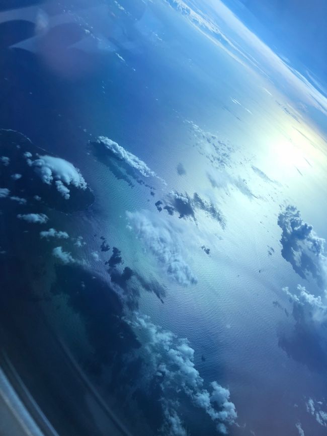 我が家の夏の旅行はいつも航空券発売日に合わせて行き先を決めています。<br /><br />今年は初のオーストラリアです。オーストラリアと一口で言っても行くところは沢山あります。ケアンズやゴールドコースト、エアーズロック、シドニー、キャンベラ、アデレード、ダーウィン、パース、メルボルン…<br /><br />魅力的な場所が多いのですが、今回チョイスをしたのはメルボルンとシドニー。<br /><br />メルボルンでは野生ペンギンが見られる場所があるから、シドニーは「ザ・オーストラリア」的なオペラハウスや大きい動物園があるから。こんなしょうもない理由で決めました。<br /><br />《旅行メンバー》<br />主人、私、長男4年生、次男2年生、私の実母<br /><br />8/8:名古屋→東京駅→成田(泊)<br />8/9:成田→メルボルン(泊)<br />8/10:終日メルボルン(拍)<br />8/11:メルボルン→シドニー(泊)<br />8/12:終日シドニー(泊)<br />8/13:終日シドニー(泊)<br />8/14:シドニー→成田→セントレア<br /><br />今日はいよいよ日本へ帰国します。