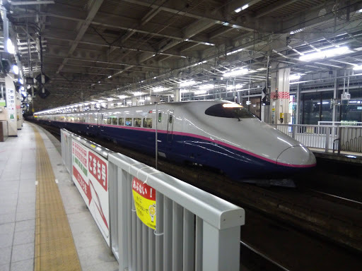 この旅行記は<br /> <br />#1上越線乗車記 <br />https://4travel.jp/travelogue/11387233/<br /><br />の続きです。あるハプニングにより当初の予定を変更して、磐越西線と東北新幹線に乗ってきました。
