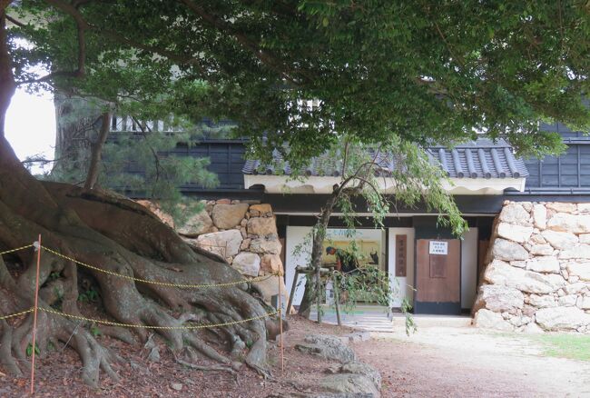 三河の名城巡りです。続日本百名城の吉田城と、この後、日本百名城の岡崎城にも立ち寄りました。吉田城は、戦国時代の16世紀初頭にその前身が築城され、16世紀末に大改築が行われました。戦国時代には三河支配の重要拠点として機能し、江戸時代には吉田藩の政庁として役割を果たしました。(ウィキペディア、続日本百名城公式ガイド)<br />