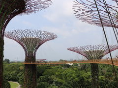 2018年夏シンガポール　その3　ガーデンズ・バイ・ザ・ベイ、プラナカン博物館、オーチャードミシュラン1つ星ディナー