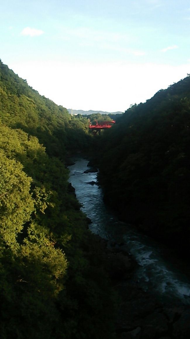 ぐんまワンデー世界遺産パス」で行く群馬の観光と鉄道を楽しむ旅（後編）