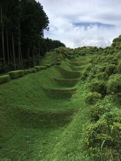 東海道新幹線と小田急グループバスで攻める日本１００名城  《山中城＆小田原城》