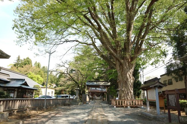 土日祝日、ゴールデンウィークなど、混雑している時期は滅多に出かけないのですが、お天気もよかったので盛岡市内で御朱印集めをしてきました。<br /><br /><br />バスで盛岡バスセンターへ。<br />歩いて盛岡八幡宮、住吉神社をめぐり、岩手銀行赤レンガ館へ。<br />その後桜山神社へ行き、盛岡駅までのんびり歩いてきました。<br /><br />この日もたくさん歩いたぞ！<br />御朱印集めをしてから健康的になっているような気がします。<br />