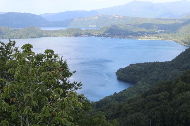 愛車で3泊4日の東北旅行に出かけてきました。<br />私にとって青森は初めてです。<br />横浜から東北までの旅。<br />長距離でしたが楽しい旅になりました。<br />十和田湖周辺は、コンビニはなく夜は6時ごろには<br />店がクローズです。気をつけましょう!<br />十和田湖プリンスホテルは、温泉もあってとってもよかったです。<br />ホテルを散策することもできますよ!
