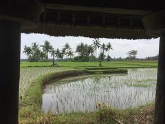 バリ島でリゾート以外の楽しみ方