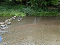 水前寺公園周辺の旅行記