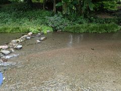 夏の熊本　後編　自転車で巡る江津湖