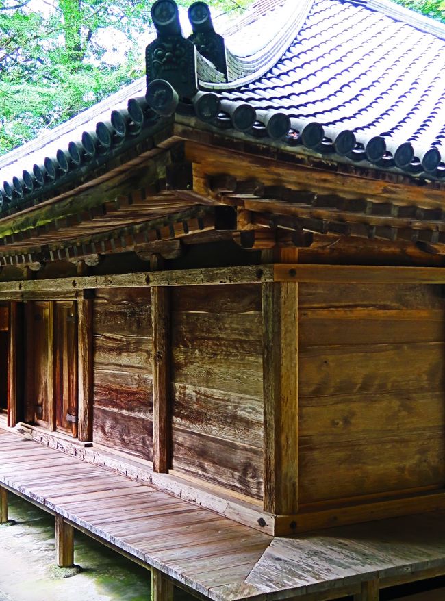 富貴寺（ふきじ）は、大分県豊後高田市田染蕗（たしぶふき）にある天台宗の寺院。山号を蓮華山と称する。本尊は阿弥陀如来、開基は仁聞と伝える。 富貴寺大堂（おおどう）は、近畿地方以外に所在する数少ない平安建築のひとつとして貴重な存在であり、1952年11月22日に国宝に指定されている。また、2013年10月17日には、富貴寺境内が史跡に指定されている。 <br />富貴寺のある国東半島は、神仏習合の信仰形態をもつ宇佐八幡（宇佐神宮）と関係の深い土地であり、古くから仏教文化が栄えていた。 <br /><br />富貴寺は、国東半島の他の多くの寺と同様、養老2年（718年）、仁聞の開創と伝える。仁聞はほとんど伝説のなかの人物で、確かな事績は不明だが、国東半島の六つの郷（武蔵、来縄（くなわ）、国東（くにさき）、田染（たしぶ）、安岐（あき）、伊美（いみ））に28の寺院を開創し、6万9千体の仏像を造ったといわれている。国東半島一帯にある仁聞関連の寺院を総称して「六郷山」または「六郷満山」といっている。 <br />12世紀前半 - 中頃、宇佐八幡大宮司家によって創建されたものと推定されている。現存する大堂は12世紀の建築と思われ、天台宗寺院にしては、浄土教色の強い建物である。富貴寺大堂は難をまぬがれ、平安期の阿弥陀堂の姿を今に伝えている。 <br /><br />富貴寺大堂「おおどう」と読む。<br />急な石段の上の、斜面を削平した小高い土地に建つ。屋根は宝形造（大棟のないピラミッド状の屋根形態）、瓦葺きである。この堂の瓦葺きは、上方がすぼまり、下方が開いた特殊な形の瓦を次々に差し込んでいくもので「行基葺き」と呼ばれる。<br />堂は正面柱間が3間、側面が4間で、正面幅よりも奥行が長く、堂内後方に仏壇を置いて、その前方に礼拝のための空間を広く取っている。小規模な建築であり、扉など、後世の修理で取りかえられた部分もあるが、九州に残る和様の平安建築として、また、六郷山の寺院群の最盛期をしのばせる数少ない遺物として、歴史的価値が高い。<br /><br />重要文化財（国指定）<br />木造阿弥陀如来坐像 - 本尊、平安時代。<br />大堂壁画 板絵著色阿弥陀浄土図（来迎壁）1面<br />板絵著色阿弥陀如来並坐像（内陣小壁）4面  板絵著色四仏浄土図（外陣小壁）4面<br />国宝建造物・大堂の一部である壁画を絵画部門の重要文化財に指定したもの。剥落が多いが、遺品の少ない平安絵画の例として貴重である。<br />（フリー百科事典『ウィキペディア（Wikipedia）』より引用）<br /><br />富貴寺　については・・<br />https://www.pref.oita.jp/site/rekishihakubutsukan/2002573.html<br />http://ryoanfukinotou.com/guide.html<br />http://kankodori.net/japaneseculture/treasure/068/<br /><br />国東半島（くにさきはんとう）は、大分県の北東部に位置する半島である。 <br />大分県北東部に位置し、南側を別府湾、東側を伊予灘、瀬戸内海、北側を周防灘に囲まれている。<br />標高721mの両子山をはじめとする両子火山群の峰々がそびえており、半島全体が円に近い火山地形である。丘陵地と谷が海岸に向かって放射状に伸びる。北部の海岸線は小さな入り江と岬が連続するリアス式海岸となっている。日本の秘境100選に選定されている。 <br />半島内の自治体　豊後高田市　国東市　杵築市　速見郡 日出町<br />奈良時代から平安時代にかけて、仏教（天台宗）に宇佐八幡の八幡信仰（神道）を取り入れた「六郷満山」と呼ばれる仏教文化が形成され、山岳地域の険しい山道を歩く「峰入り」と呼ばれる難行が行われるようになった。現在でも内陸部を中心に多数の寺があり、観光名所となっている。 <br />　（フリー百科事典『ウィキペディア（Wikipedia）』より引用）