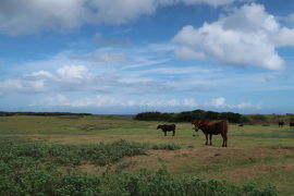 長崎 夏の宇久島サイクリング