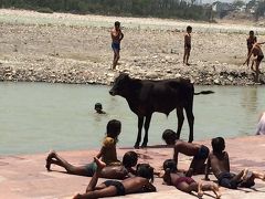 リシケシの先のラムジュラへ。ベドニケタン滞在。(インド⑤)