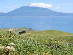 花の山旅　礼文島で礼文岳・知床～桃岩散策　（3泊4日 3・4日目）