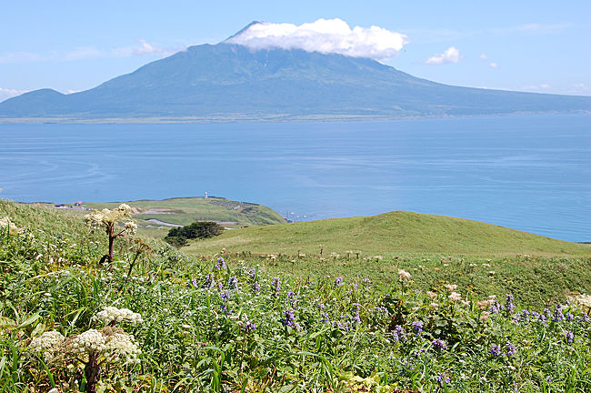 3月から温めていた利尻・礼文の花の山旅。前日に日本百名山の「利尻山」を無事登頂して礼文島に移動。<br /><br />3日目は礼文を満喫します。<br />午前は、礼文最高峰の礼文岳へ。島の中心にあり360度礼文島を見渡せる好展望の山。<br /><br />午後は、高山植物が咲き乱れる知床から桃岩コースを散策しました。<br />昼食と夕食はいずれもご当地グルメを満喫し、凝縮した1日になりました。<br /><br /><br />4日目は帰宅。<br />行きは羽田から新千歳経由で利尻まで飛行機を使いましたが、帰りはフェリーで稚内に行き飛行機で羽田へ。<br /><br />花満開のこの時期の北海道はやはり素晴らしかったです♪<br />