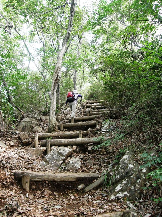 ここ数ヶ月、山の会の月例登山に参加しても、まともに歩けず、山の会メンバーに迷惑をかけっぱなしの状況に、なんとか毎月の月例山行だけでも参加し、まともに歩けるようにしたいと思い、昨年から入院等で、すっかり、登山に必要な足の筋肉が落ちてしまっていることで、月例登山にもついて行けないことに気付き、原点に帰り、低い山を何回も登り鍛えることにした。その１回目の登山に、栃木県の「みかも山」を選んだ。<br />そのことを妻に伝えると、一人で行くのはだめ、どうしても行くのであれば私が一緒に登ると言い出し、今まで登山に誘っても、なかなか一緒には山には行かなかったのに、今回は、同行してくれることになり二人でのリハビリ登山となりました。