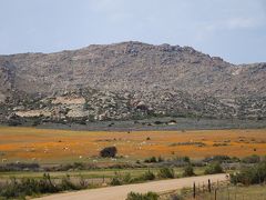 ナマクアランドに関する旅行記 ブログ フォートラベル 南アフリカ共和国 Namaqualand