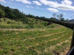 永年勤続　ご褒美　ケアンズの旅　2日目　キュランダ高原鉄道　と　自然めぐり。