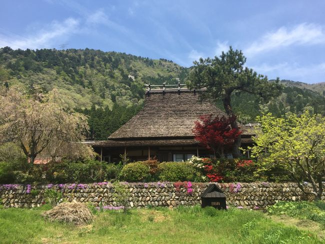 京都南丹市、かやぶき屋根の集落がある美山かやぶきの里に行ってきました。<br />敷地が広いわけではないけど、この地に踏み入った瞬間から昔話の中にタイムスリップしたような気分になりました。<br />とにかく歩いてるだけで癒される場所です。関西にもこんな場所があっただなんで。。<br />お勧めの場所です♪( ´▽`)