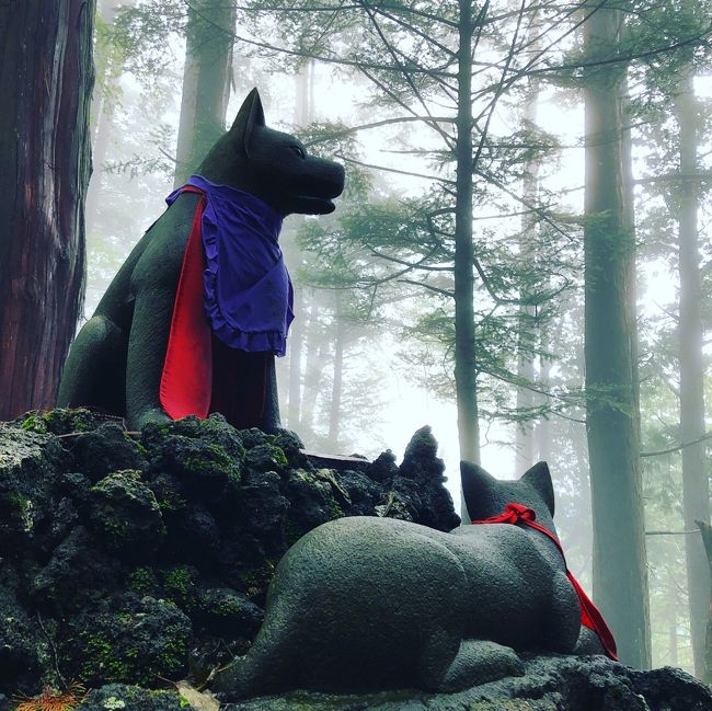 念願叶ってようやく行けた 三峯神社 秩父 埼玉県 の旅行記 ブログ By Yasakiさん フォートラベル