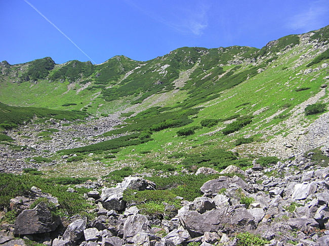 南アルプスの女王と言われる「仙丈ヶ岳」。3,000m峰で日本百名山にも選ばれている山です。<br />今年は1月に雪山でも訪れていますが、今回は小仙丈沢より遡行して仙丈ヶ岳にアタックしました。<br />三千メートル峰へ詰め上がる沢登りは初めてだったため幾分か緊張しましたが、達成感のある満足度の高い沢登りとなりました。<br /><br />1日目の幕営地は草地で快適、倒木がたくさん流れ着いているため焚き火用の木も事欠きません。北岳を仰ぎ見ながら焚火を囲んで串焼きを楽しむシチュエーションは他では味わえない贅沢ですね。<br />2日目1段目の大滝はロープを使わない巻き、2段目の大滝は水流少ない左手の支流を登りますが、ここでようやく登りが登場です。先発4人パーティーが既に取り付いていたためしばらくは下で休憩。登り待ちが意外に長かったですが、ロープは必要ないくらいの難度（高度感があるので念のためロープは出す）で快適に登れました。<br />本流に復帰し、ここからは小滝の連続する楽しい沢登りが続きます。うだるような暑い日だったのでキンキンに冷えた沢水が心地よいですね。水流がなくなるまで登り上げると視界がバーンと開け、そこは小仙丈カールが広がります。一般登山道からでは見えない景色に感激もひとしおでした。<br /><br />雪で白銀の仙丈、沢から登った夏の仙丈と本当に良い山です。そして仙丈ヶ岳から見る甲斐駒が美しいですね～。<br /><br />●コースタイム<br />1日目：1時間50分<br />野呂川出合11:18 - 13:10 2000ｍ付近の大滝前幕営地<br /><br />■2日目：10時間20分<br />宿泊地 5:24 - 11:47 仙丈小屋分岐 - 12:17 仙丈ヶ岳 12:24 - 12:36 仙丈小屋分岐 12:37 - 13:27 小仙丈ヶ岳 13:28 - 14:04 薮沢大滝ノ頭 14:05 - 15:21 北沢峠 15:29 - 15:45 ゴール地点