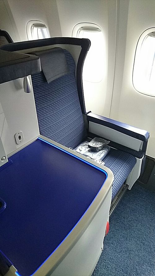 ANA 全日空　国際線　ビジネスクラス　羽毛布団　ブランケット　車中泊　災害時 ANA 全日空 国際線 ビジネスクラス 羽毛布団 ブランケット 車