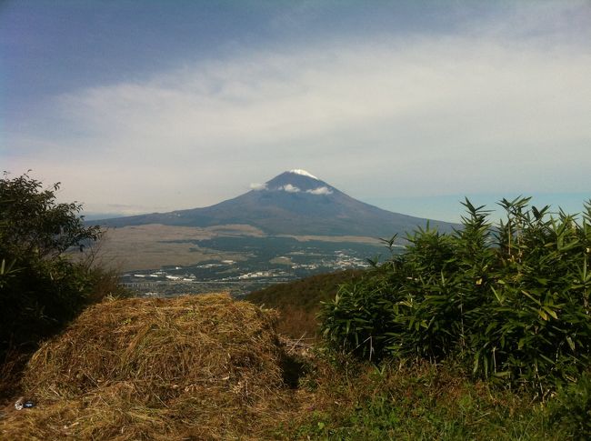 久々に関東の方へドライブに行きたくなりました。<br /><br />さすがに日帰りは大変なので一泊二日で計画。<br /><br />ホテルさえ押さえれば後は私の体調のみ。<br /><br />名神高速から東名高速と楽しいドライブでした。<br /><br />また箱根スカイラインも走りたかったので、行ってみました。<br /><br />平日なので、空いてるしストレス発散の旅になりました。