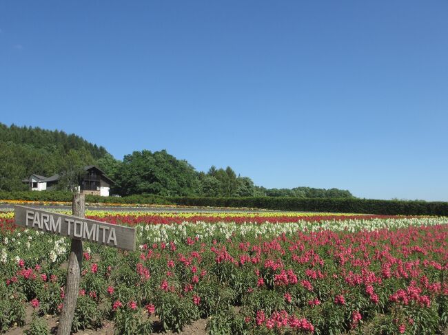 夏の避暑地はやはり北海道！大自然と色とりどりの花たちを求めて、今年も700㎞の爽快ドライブ。<br />＜旅程＞<br />2018/8/04 HND-CTS  富良野泊<br />2018/8/05 富良野泊 <br />2018/8/06 CTS-HND ★