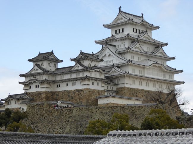 実家の大阪へ帰って来た時に、まだ子供を姫路城に連れて行ってなかったのと、平成の大修理が終わって、白く生まれ変わった姿を見たかったので、久方ぶりに訪れてみました。綺麗な立ち姿ですね。