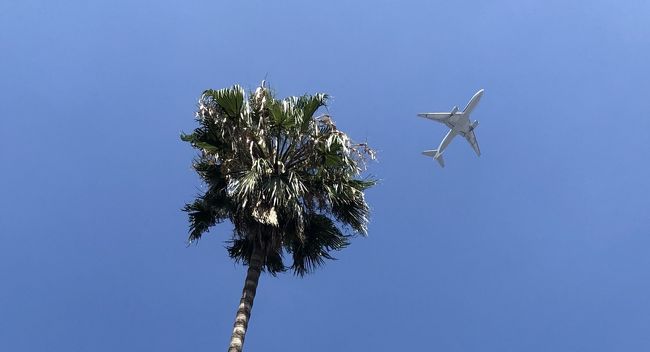 今回のJAL修行は香港への弾丸旅!<br />珍しく韓国発券ではなくJAL直販&帰りは敢えてのコードシェアでCXに乗るのがお楽しみ♪<br />・・・のはずが。<br /><br />出発前日、JALからこんなメールが。<br /><br />-------------------<br />JAL735便<br />東京/成田発定刻 9月15日(土) 18:10<br />出発予定 9月17日(月) 20:00<br />(遅延時間 49時間50分)<br />香港着定刻 9月15日(土) 22:00<br />到着予定 9月17日(月) 23:50<br />香港国際空港 台風のため出発に遅延が生じています。<br />ご不便・ご迷惑をおかけいたしますことを、心よりお詫び申し上げます。<br />-------------------<br /><br />遅延49時間50分!<br /><br />うははっ。<br />そもそも帰国便は9月17日8:45発なので、もはや旅程が成立していません。<br /><br />原因の台風22号は香港・フィリピンに多くの被害をもたらしているようです。ビルの窓硝子が割れたり、香港名物・竹製の建築足場が飛ばされたりという映像がニュースでも流れていました。お見舞い申し上げます。<br /><br />でも、でも、でも!!<br />納得できなーい!<br />飛行機乗りたかったよー。<br />香港行きたかったよーーー。<br /><br />ということで、FOPの予定が狂っちゃったのと、どんよりした気分を晴らすため急遽博多行きをセッティングしました。<br />もちろん予定は何もないので、目的を長浜ラーメンとしますw