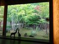 武雄・多久の旅行記