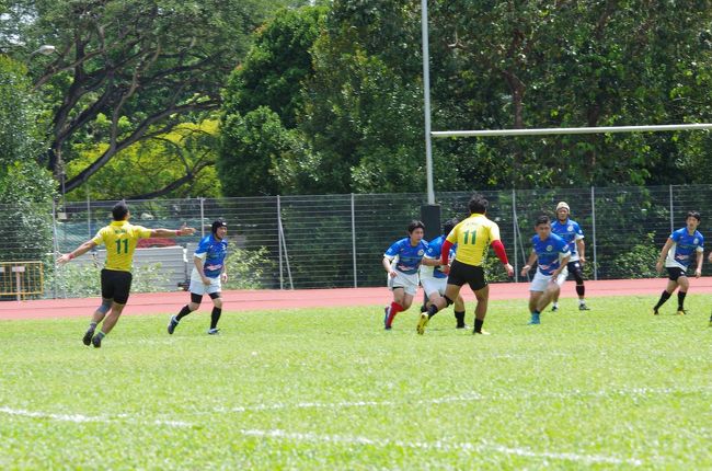 昨年マレーシアのクアラルンプールで行なった他国日本人会ラグビーチームとの親善試合。今年は我がCTRマドラスサイクロンズ結成10周年を祝してシンガポールで行うことになりました。試合は23日日曜日の午前中。日本に帰任したOBの方々が日本から参加しやすいように日本の3連休の真ん中の日を試合にしました。その結果たくさんの方がわざわざシンガポールまで日本からこの親善試合のために来てくれてありがたかった反面、僕たちインド駐在者組は24日は普通の月曜日なので仕事のために戻らなくてはいけない人も多いという慌しさ。<br />そういう僕も22日土曜日に有給を取った手前24日は休みにくいのよね。というわけで21日仕事が終わったら飛行機に飛び乗り22日の朝にシンガポール に到着。試合が終わったら23日の夜8時に飛行機に乗ってインドチェンナイに戻るというかなりの強行スケジュールになりました。<br />非常に評判がいいのにまだ乗ったことがないシンガポール航空の飛行機に今度こそは乗ろうと思ったのですが、ワンワールド、キャセイパシフィックのゴールドステータスが見えて来ているのでマイル修行も兼ねて6月のシンガポール へのサンウルヴズ応援旅行同様スリランカ航空を利用することにしました。<br />さて今回の旅の予定です(実際の時間経過はスケジュールの欄をご覧ください)<br /><br />9/21<br />チェンナイ21:15→スリランカ航空UL214→コロンボ22:40<br />9/22<br />コロンボ1:50→スリランカ航空UL306→シンガポール8:30<br />チャンギエアポート→MTR→オーチャード<br />ホテルロイヤルプラザ・オン・スコッツ 荷物を預ける<br />オーチャード→MTR→ボタニカルガーデン<br />世界遺産 シンガポール植物園見学<br />日本食材買い出し等<br />夜はチェンナイチームメンバーによる前夜祭<br /><br />★9/23★←この旅行記です<br />10:45~13:00 ラグビー親善試合<br />15:00~17:00 アフターマッチファンクション 銀座ライオンシンガポール<br />17:00~18:30 プロムナード→MTR→チャンギエアポート<br />20:10シンガポール→スリランカ航空UL309→21:30コロンボ<br />01:00コロンボ→スリランカ航空UL125→02:25チェンナイ<br /><br />9/23<br />0泊で試合に参加するT部長が朝5時前にシンガポール空港に到着しました。6時に僕の部屋に迎え入れ、2時間ほど仮眠をとってから、一緒に試合会場までタクシーで移動しました。<br /><br />あとはラグビーの試合とアフターマッチファンクションに参加してインドのチェンナイまで飛行機で戻りました。<br /><br />今回の旅行の目的ラグビーの親善試合に参加した2日目です。