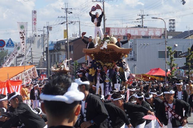 渥美半島の田原祭りから岸和田のだんぢり祭りと高野山の旅 二日目 怖いもの見たさのだんぢり祭 疾走する男たちの大集団は海潮のような迫力です 岸和田 貝塚 大阪 の旅行記 ブログ By たびたびさん フォートラベル