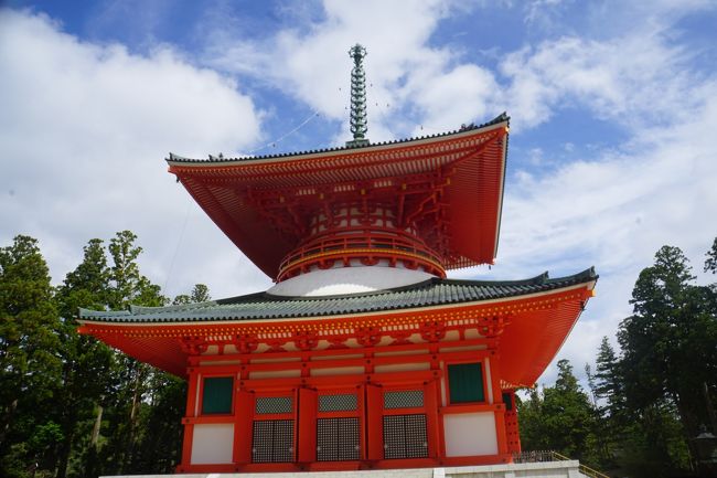 高野山は空海が開いた真言密教の聖地。今回は三度目か四度目かの訪問ですが、いずれにしても前回の訪問からはかなりしばらくぶり。以前、比叡山の旅では空海と最澄のことに思いを馳せて、日本の仏教史における両巨頭の存在の大きさを改めて感じましたが、ここらでそろそろ高野山でもその思いをもう一度総括してみたいと思った次第。<br />(参考まで:https://4travel.jp/travelogue/11008018)<br /><br /> ただ、正直言えば高野山は、今回も意外に思いを馳せる手がかりが少なかったかなというのが結論。観光地というよりも、まじめな宗教都市といった印象の方が勝っていて、ちょっとさみしい。その感覚はこれまでの高野山の記憶とあまり大きくは違わなかったような気がします。<br /><br /> 例えば、一方の四国霊場巡りと比べるとどうでしょうか。ひたすら八十八か所を訪ねる旅は、意識するしないにかかわらず、「同行二人」に象徴されるように常に空海の存在を感じながらの旅になる。そのあたりがとても自然で楽しい思いになってくるんですけどね。<br /> ところで、密教とはもともと顕教と違って、文字を読んで理解したりするのではなく感じるものとされています。手がかりがないのはその辺りが関係するのかしないのか。拙い知識ですが、少し言わせてもらうと。。<br /> 空海が密教を学んだのは密教がもてはやされていた唐の時代の中国。そのルーツはインドですが、ヒンズー教に圧迫を受けた仏教がヒンズー教の要素を取り入れて仏教の中興を図ったものと言われています。それは、悟りを開くための厳しい修行に象徴される内面的な志向から、生身の人間が生きていくことに対する積極的な肯定。加持祈祷とか即身成仏とか。現世利益の要素が大きいのはそれを色濃く反映しています。<br /> 一方で、それまでの奈良仏教が得意中の得意であった世界観についても、すべての基、究極の存在は大日如来であるとし、金剛界曼荼羅、胎蔵界曼陀羅によって物質世界と精神世界の関係まで説き示そうとする壮大なもの。特に、それを悟り自分のものとすることで超常現象も思いのままという主張はそれまでの奈良仏教では考えられもしないことだったでしょう。<br /> そして、壮大な世界観に基づく現世利益の実現も最後は感じるべきものとして包み込んでしまうという神秘性。さらには、その密教の力を借りて具体的な奇跡を起こした空海という巨大で圧倒的な存在が、神秘のベールに包まれた密教の真実性をしっかりと担保している。それが真言密教のイメージなんですね。<br /> 空海は、密教に限らず、土木工事や書なども伝説的。遣唐使の一員ではあっても書生という位置づけでしかなかった立場から、唐の密教の第一人者であった長安青龍寺の恵果和尚から灌頂を受けるといったことはまさに奇跡の人としか言いようがない。空海の生涯からは感じるなと言ってもそっちの方が無理なくらいです。<br /> とはいえ、空海は密教を日本に持ち込む際、密教の教えが受け入れられるためには、それなりの荘厳な装置も必要だと自覚していました。東寺の立体曼荼羅もそれを現したもの。密教の世界を広く感じてもらうためにはこうした工夫もなくてはならないものとしていたのですね。<br /><br /> では、始めのモヤモヤに戻ると。たぶん、我々が楽しく感じるのは空海を思う時であって、密教そのものを考えて楽しくなるということではないでしょう。敢えて言ってしまうと、高野山は密教を学び考えるところ。四国霊場は空海を思うところ。こうした違いがあるのではないでしょうか。聖徳太子なんかも同じようなところがあって、我々は聖徳太子が受け入れようとした仏教はどういうものだったのかというより、聖徳太子の人物の方に目が向いてしまいます。聖徳太子信仰が盛んになるのは、こうした人情に負うところが大きいでしょう。蛇足ですが、例えば思想よりも個人崇拝で人々を縛る北朝鮮も、そういった人間の心をよく分かっているのかもしれません。<br /><br /> なお、高野山の荘厳な装置の中心は壇上伽藍。根本大塔を含め金堂など19の建造物が集まる一段高くなったエリア。弘法大師御廟のある奥の院と並ぶ高野山の二大聖地です。根本大塔の内部は有料ですが、それ以外は自由に拝観可。それぞれのお堂等には案内板もあるので、一つ一つチェックしてみたいと思います。 <br /><br />