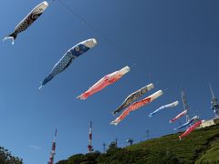 残念！ツツジはすでに終わってた～　防府市・大平山＆国指定名勝・毛利氏庭園