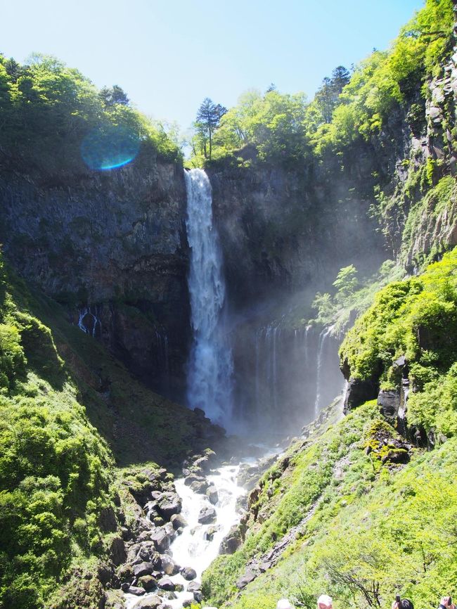 関西から、日光東照宮にお参りするのは遠い!草津温泉・鬼怒川温泉はTVでよく見るけど、なかなか行きにくい!<br />日光東照宮がきれいになったというからには、早いうちに見に行かねば!<br />ってことで、またまた会社で「行く人~」って聞くから、これを逃すと死ぬまでに行かないかもしれないので(^^♪<br />ハイ!参加しました。クラブツーリズム2泊3日 金曜日出発で年度替わりの忙しさも落ち着いたころで、暑くならない5月に決定!<br />電車だし~とあまりよく考えないで参加を決定しておりました(T_T)<br />9県またぎの旅になるとは・・・・ずっとバスに乗っていたような・・・<br />でも、北陸新幹線にも乗れたし、バスの旅は安心・楽々!仕事の疲れもバスに揺られて爆睡できた。<br />日光東照宮だけで、1日丸々必要だなっと感じた旅でした。<br />
