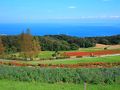 淡路島の旅行記
