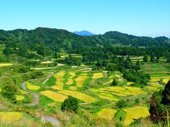 観タクンで巡る十日町の棚田！新潟旅行その１