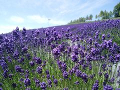 花いっぱい北海道③～彩香の里・風のガーデン