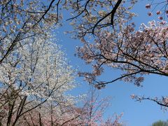 最後の仕上げは日本で　広島花めぐり