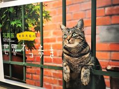 ニッポンのフレンチ「ル・クロ丹波邸」&岩合光昭「世界ネコ歩き写真展」♪♪