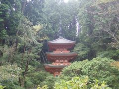 秋の奈良（１２）岩船寺（がんせんじ）～京都府木津川市