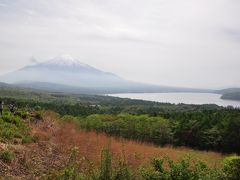 初夏の富士山へ、犬連れの一泊旅行
