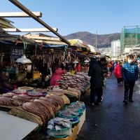 韓国 釜山 2泊3日 ワチャワチャ旅　