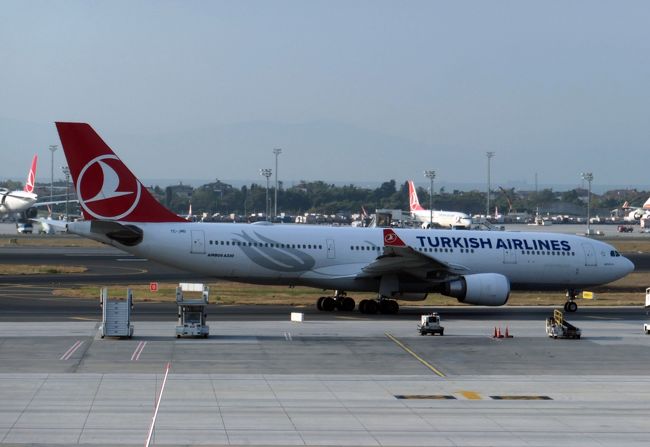 トルコのイスタンブールと南イタリアの観光で、トルコ航空を利用しました。6月中旬の都合の良い時期に、運良くマイレージ利用のビジネス席チケットを入手することができました。トルコ航空利用は初めてです。夕の9時過ぎに成田空港を出発すると、イスタンブールに午前3時半頃に到着する便(TK53便)です。ホテルチェックインにも観光にも早すぎる時間の到着ですので、イスタンブール空港にあるトルコ航空のアライバルラウンジで過ごし、午前9時過ぎからイスタンブール観光をスタートすることにしました。<br /><br />イスタンブールで4泊後、イタリアのナポリにトルコ航空で移動します。午前便での移動で、昼過ぎからナポリを起点に南イタリアをレンタカードライブで観光する予定です。トルコ航空ビジネスは食事等の評判も良いので、搭乗体験を楽しみに出発しました。
