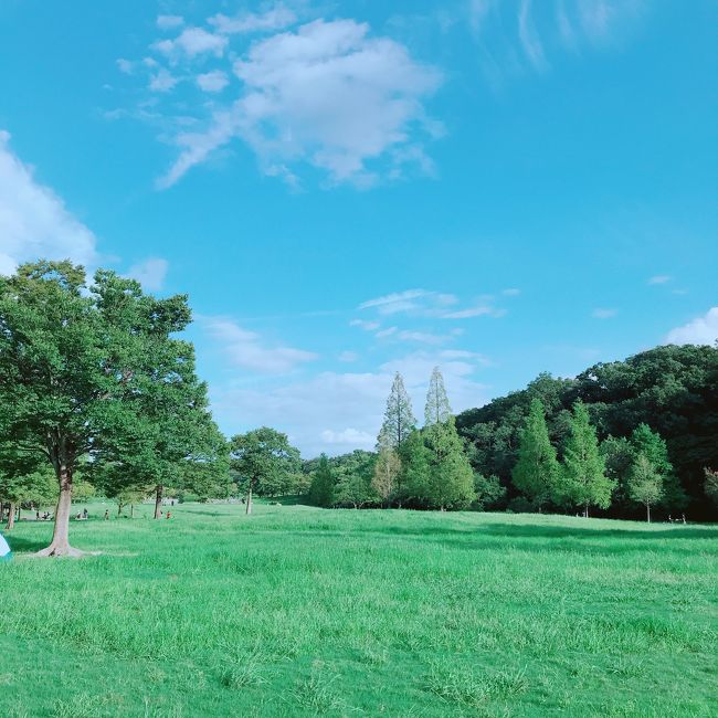 友人が住まう名古屋から「BBQするからおいで～」と<br />よんでもらい、遊びに行ってきました。<br />当初予定していた1日目は雨のためBBQは延期に。<br />そのかわり名古屋市街地をドライブ。<br />2日目はとってもいいお天気。<br />まだまだ夏を感じさせてくれる日差しでした。<br /><br />夏大好き！<br />夏よ終わらないで!<br />