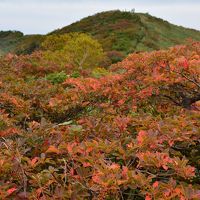 曇天の越後駒ヶ岳日帰り登山【枝折峠からピストン】