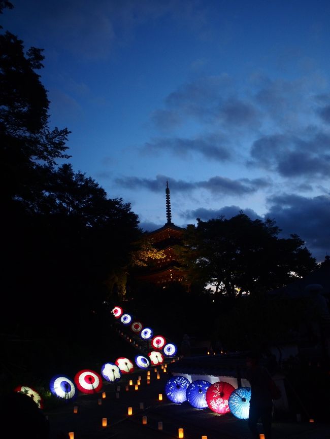奈良12ヵ月完全制覇の旅、今回は9月です。<br /><br />9月って何かイベントあるのかしらと調べたら、結構色々な場所でライトアップイベントが開催されているんですね。<br />その中で行ってみたいと思ったのが、明日香村で開催される『飛鳥 光の回廊』。<br /><br />滞在したのはたった3時間でしたが、夢見心地で歩き回った素晴らしいイベントでした。<br /><br />本編は後編、飛鳥 光の回廊2018の旅行記です!<br /><br /><br />≪行程≫<br />橿原神宮前駅スタート<br /> ↓<br />万葉文化館<br /> ↓<br /> 岡寺<br /> ↓<br /> 橘寺<br /> ↓<br />川原寺<br /> ↓<br />石舞台<br /> ↓<br />飛鳥駅ゴール<br /><br /><br />≪往路≫ <br />9/21(金)22:10 東京鍜治橋駐車場 → 6:30大阪梅田プラザモータープール <深夜バス ナイトライナー・4列シート>(7000円)<br /><br />≪復路≫ <br />9/22(土)23:00 天理駅 → 6:10バスタ新宿 <新宿-奈良・五條線 やまと号・3列シート>(9000円)<br />