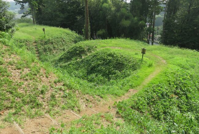 既に国の史跡に指定されていた菅谷館跡(嵐山町)に、松山城跡(吉見町)、小倉城跡(ときがわ町・嵐山町・小川町)とともに杉山城が、2008年(平成20年)に追加指定され、『比企城館跡群』の名称で国の史跡に一括指定されました。