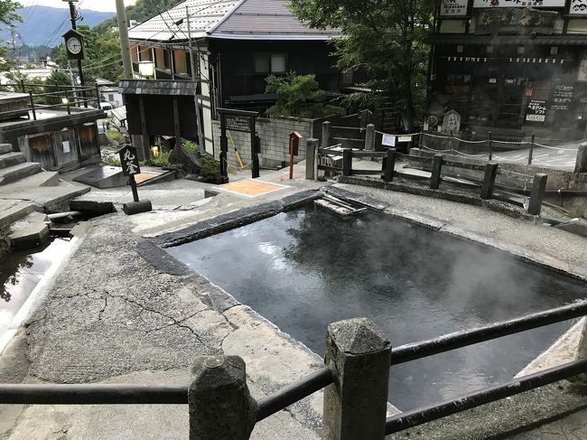 飯山駅よりバスて野沢温泉に行く。<br /><br />長電バスは各村々を周り野沢温泉に行く路線バス。飯山駅~野沢温泉間の運賃は700円。所要時間は長い。<br />野沢温泉ライナーは直行バス。飯山駅~野沢温泉間の運賃は600円。所要時間は短い。<br /><br />外湯は13湯あり、全て無料。<br />スーパー銭湯のようなふるさとの湯は有料。<br /><br />野沢温泉は山の裾にあり坂の多いアップダウンのある場所。訪問日、観光客はまばら(想像していたより非常に少ない)で、静かな街並みを味わうことができた。<br /><br />コンビニはなく、ミニスーパーのような店舗が野沢温泉の中心街に一軒あるのみ。販売価格はほぼ定価で割高感あり。他、店舗の閉店時間は早い。