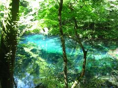 ’１８　夏の東北旅行２３　白神山地 十二湖さんぽ②（ブナ自然林～沸壺の滝～十二湖庵・落口の池～森の物産館キョロロ～青池～鶏頭場の池）