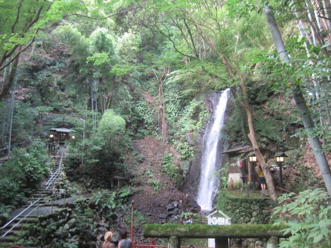 午前中に<br />https://4travel.jp/travelogue/11404791<br />で真鶴岬をお散歩した後、真鶴から1駅東海道線に乗って、湯河原にやって来ました。このところちょっと疲れ気味だったので、温泉に入りに来ましたが、それだけでも何なんで、ちょっとぶらぶら。真鶴と湯河原を歩いて、この日は31,033歩のお散歩です。<br /><br />【表紙の写真】不動滝<br />